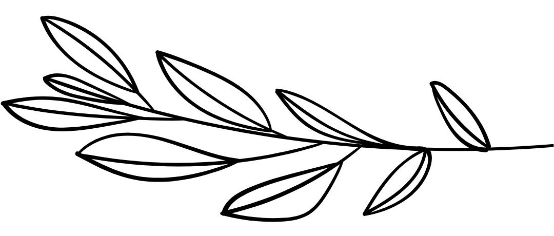 Icon Story